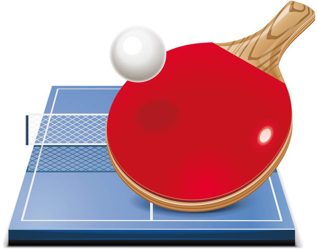 Открытый турнир по настольному теннису, среди обучающихся учреждений дополнительного образования г. Оренбурга